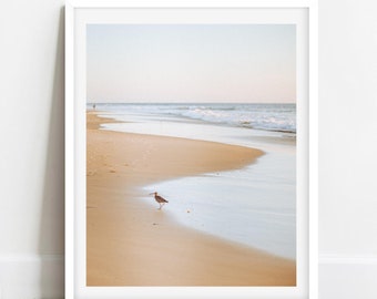 Coastal Wanderer California Seaside Beach Fine Art Photography Print