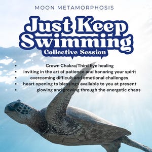 Just Keep Swimming