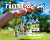 Tiny Terrarium Real Live Pet Plant - Cactus - Succulent - Miniature Key Chain - Necklace - Mother 39 s Day Gift - Fairy Garden - Mini Plant