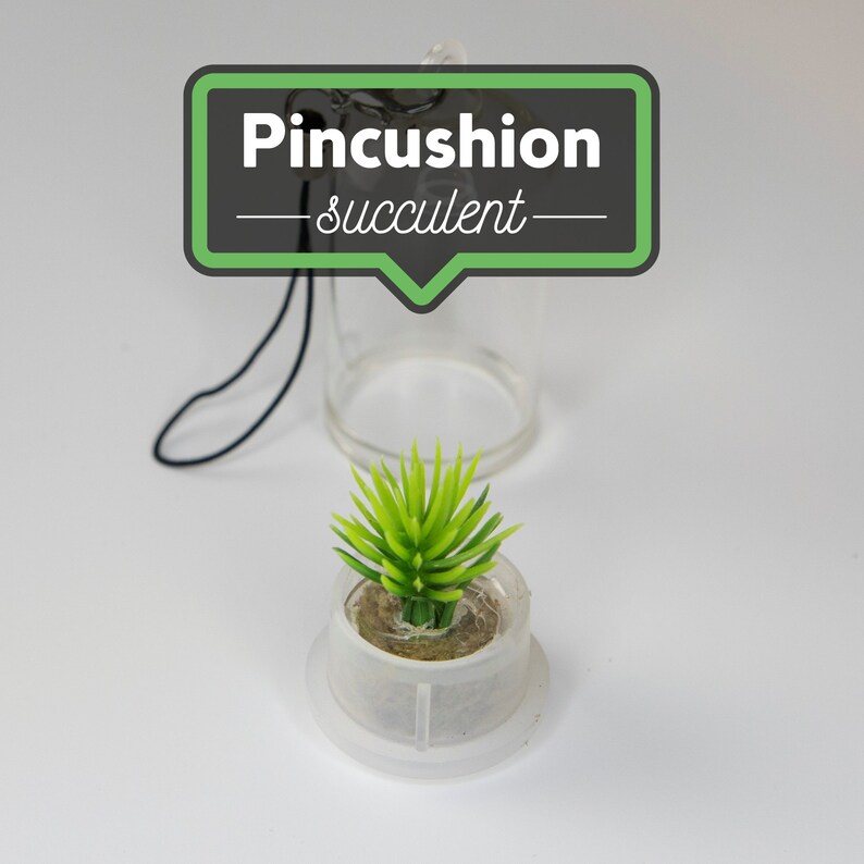 Artificial Tiny Terrarium Pet Plant Succulents Glass Dome Etsy