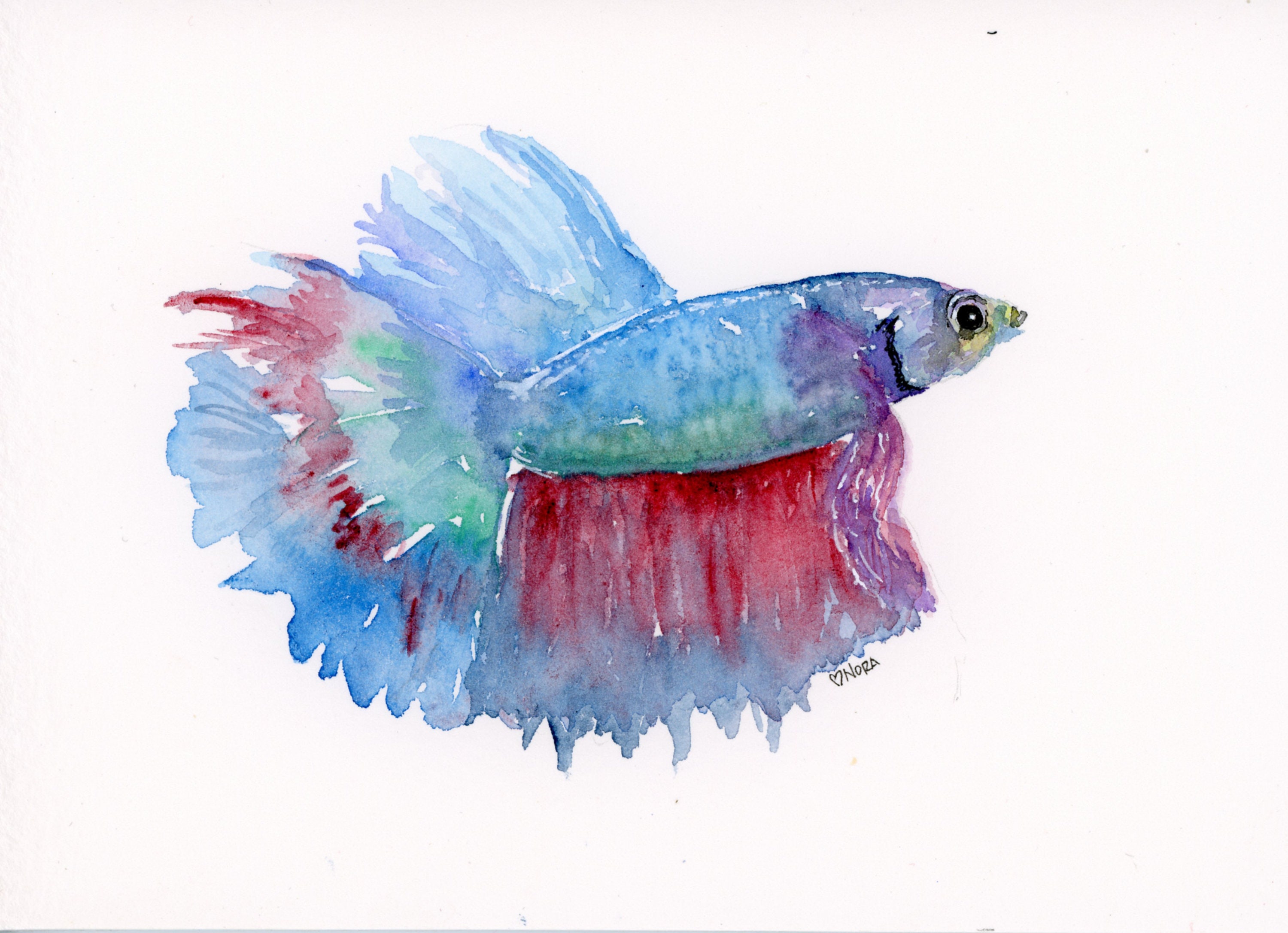 A little betta fish from my book „Shiny Watercolors“ @emf_verlag drawn