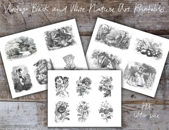 Vintage Black and White Nature Art Printables Floral | Etsy