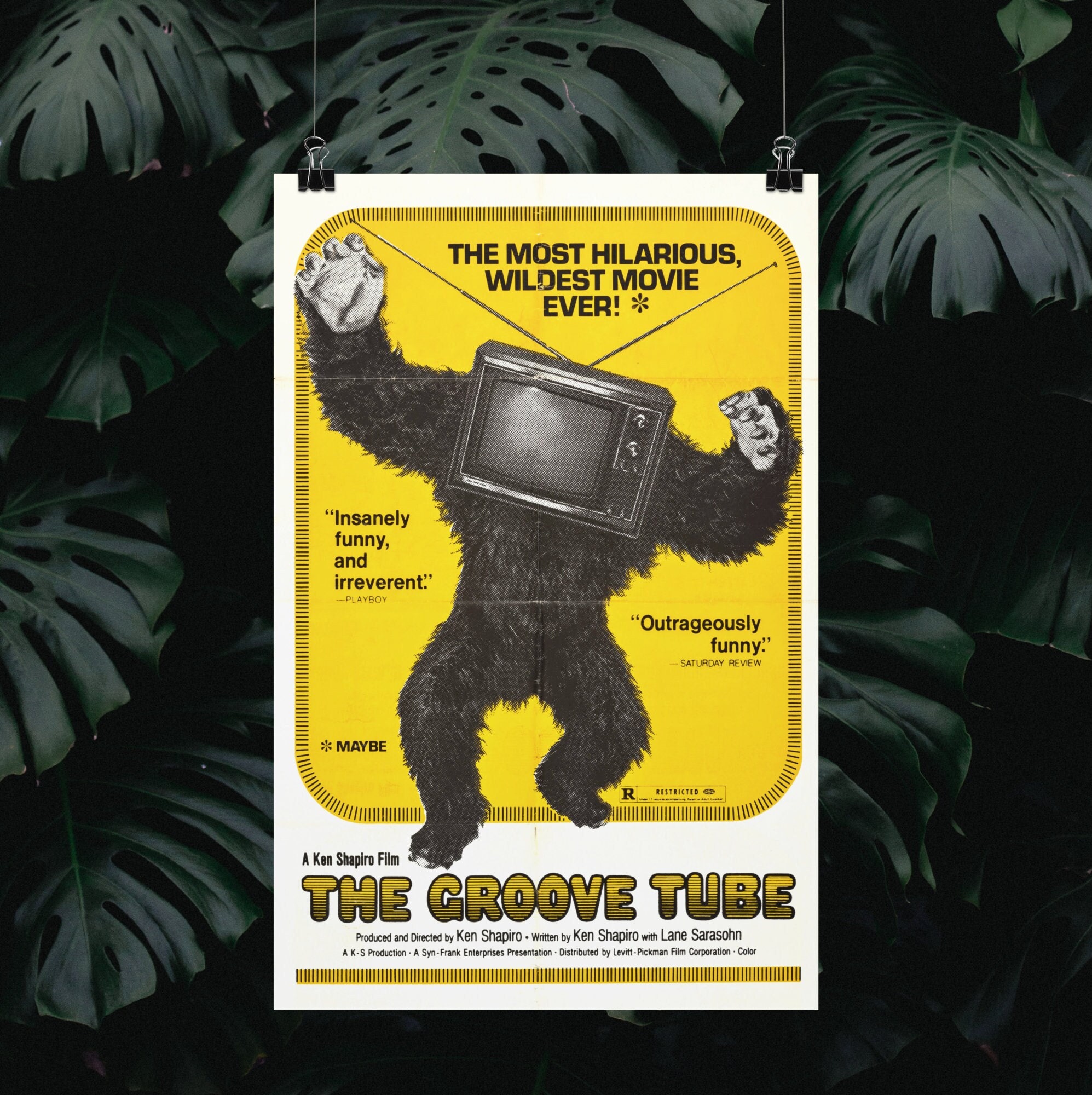 The Groove Tube 11 X 17 Deluxe Poster Art Print 