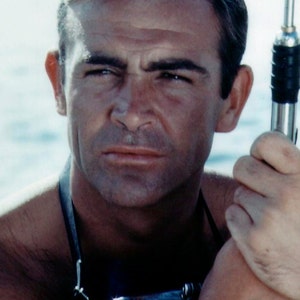 Sean Connery as 007 8.5 X 11 Art Print - Etsy