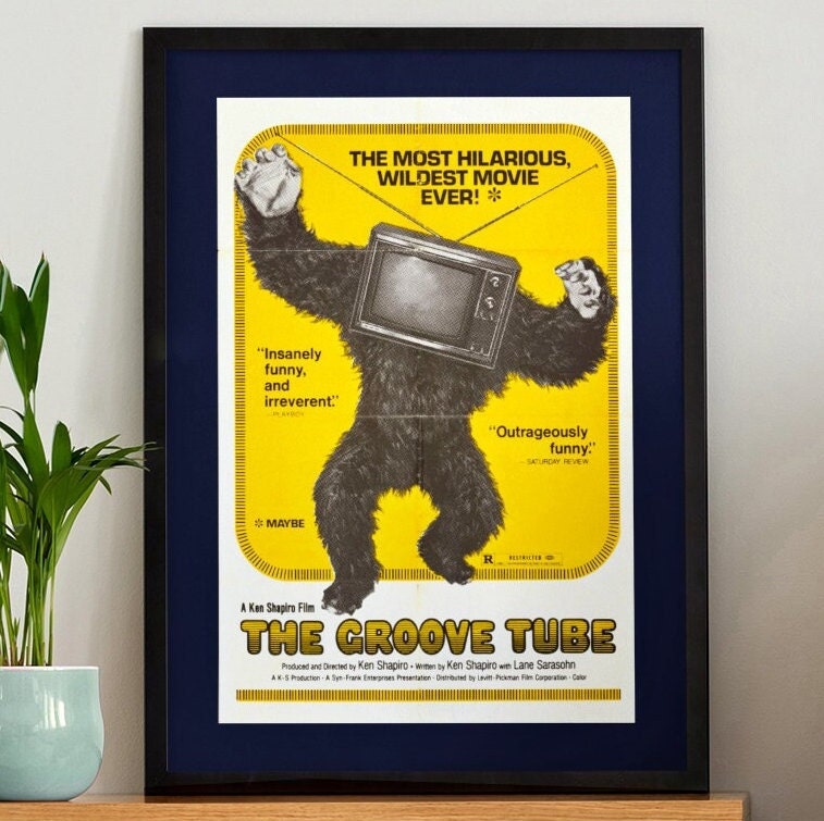 The Groove Tube 11 X 17 Deluxe Poster Art Print 