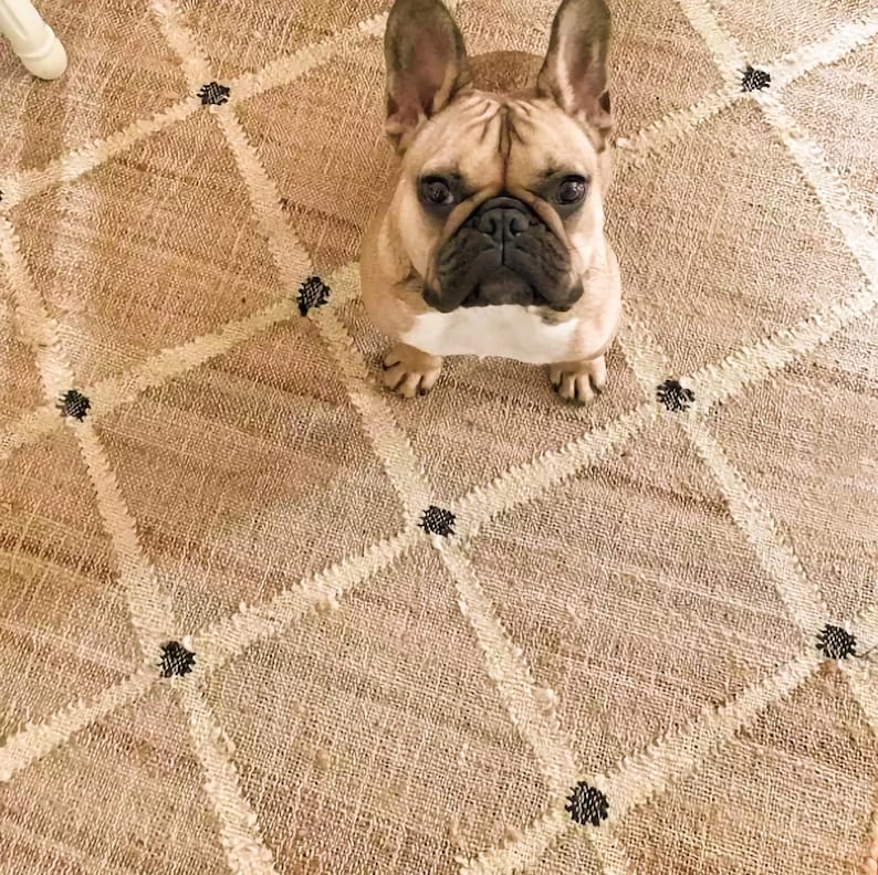 Puede incluir: Un cachorro de Bulldog Franc&eacute;s sentado en una alfombra beige y blanca con patrones de diamantes negros. El perro est&aacute; mirando directamente a la c&aacute;mara.