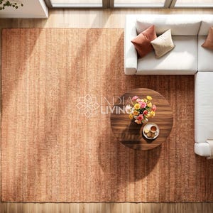 May include: A large rectangular area rug in a warm terracotta orange hue with a textured weave. The rug is positioned under a white L-shaped sectional sofa, a round dark wood coffee table, a floral bouquet, and a small plate with snacks.