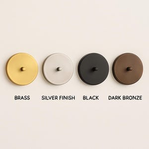 May include: Four round, metallic ceiling canopy covers in brass, silver finish, black, and dark bronze. Each has a small, central screw. The colors are labeled below each canopy.