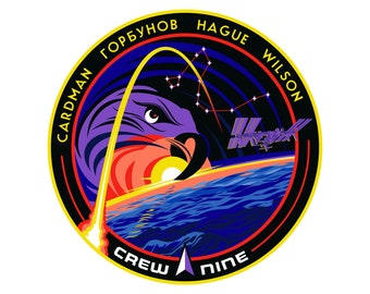 NASA Crew 9 Vinyl Sticker - 3 inch