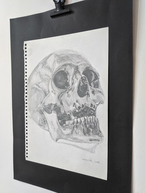 Skull on book アクリル原画 PRINT, Human Skull Drawing / Macabre Home Decor / Skull Wall Art