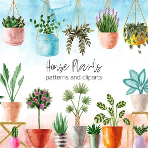 Puede incluir: Ilustración en acuarela de varias plantas de interior en macetas, algunas colgantes. La imagen incluye el texto "House Plants patterns and cliparts" en una fuente manuscrita. Las plantas están en una variedad de macetas y jardineras.