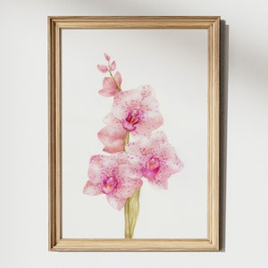 Rosa Orchidee Aquarell Malerei Violet exotische Blumen botanische Wandkunst Licht Botanik Aquarell Zeichnung Beauty Spa-Salon ästhetische Plakate