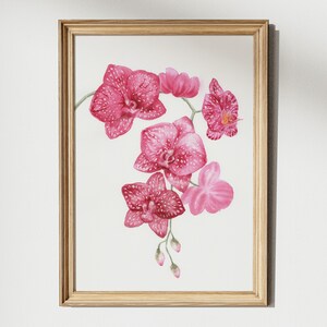 Rosa Orchidee Aquarell Malerei Violet exotische Blumen botanische Wandkunst Licht Botanik Aquarell Zeichnung Beauty Spa-Salon ästhetische Plakate