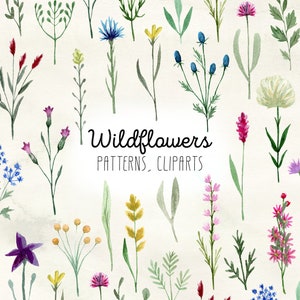 Watercolor wildflowers clipart Flower png seamless patterns set Botanical digital paper Floral garden background Greenery backdrop download