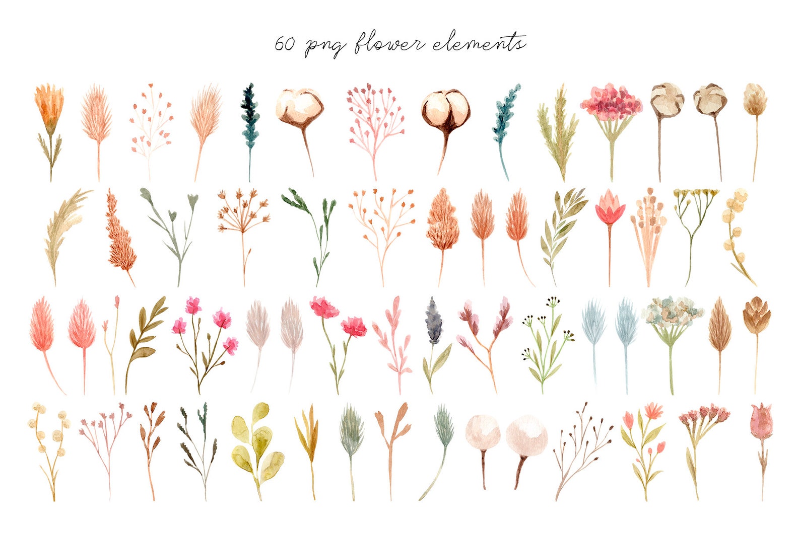 Dried Flowers. Watercolor Collection Png Clipart Set. Patterns Etsy