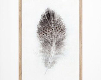 Pintura de acuarela con arte de pared de plumas, plumas de cisne gris, impresión giclée, carteles de estética suave y femenina, decoración de sala de estar rústica estilo bohemio cottagecore