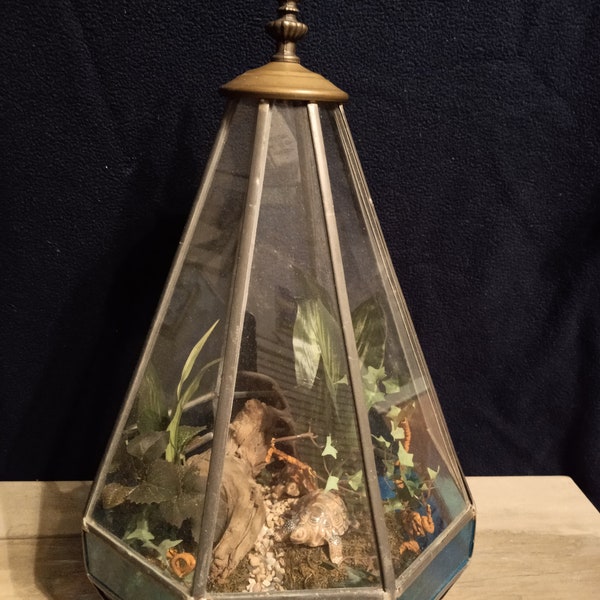 Terrarium vintage/verre antique et laiton, tortues de collection