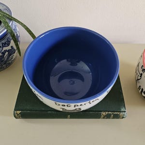 Puede incluir: Un cuenco de cer&aacute;mica para perros con interior azul y exterior blanco. El exterior tiene las palabras "Dog person" en escritura negra. El cuenco est&aacute; sobre un libro verde.