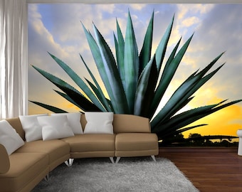 Agave wallpaper Cactus wall decal Plant mural Succulent déco Removable print Mexico room art Peel and Stick sunrise nature Housewarming Gift