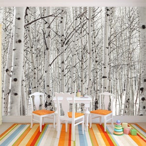 Birch Grove wallpaper Tree mural Botanical art Floral print Scenery decor Forest peel and stick Aspen tree wall art birch trees wallpaper