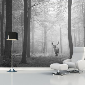 May include: A black and white photograph of a deer standing in a foggy forest. The deer is facing away from the camera and has large antlers. The forest is dense with trees and the ground is covered in leaves. The photo is taken from a low angle, giving the viewer a sense of being in the forest.