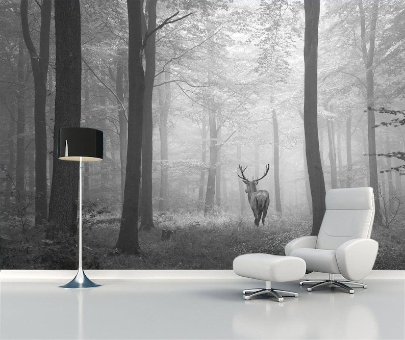May include: A black and white photograph of a deer standing in a foggy forest. The deer is facing away from the camera and has large antlers. The forest is dense with trees and the ground is covered in leaves. The photo is taken from a low angle, giving the viewer a sense of being in the forest.
