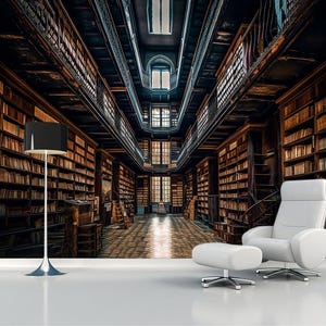 Grande carta da parati antica biblioteca libro murale astratto temporaneo rimovibile adesivo da parete soggiorno sala da pranzo adolescenti ufficio camera regalo per gli amanti dei libri