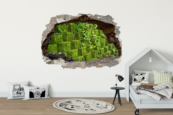 fargesia denudata Green River 50 Fargesia Bamboo Seeds