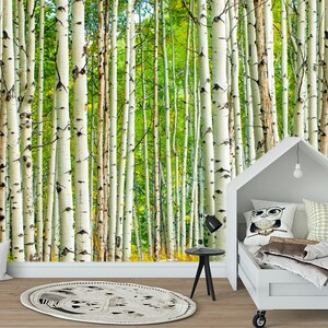 Birch wallpaper Forest wall mural Grove print Nature art Peel and Stick Tree decal Office Bedroom decor Accent wallpaper Landscape mural