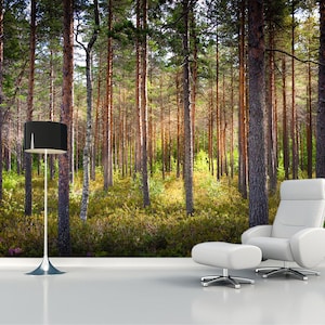 Carta da parati foresta soleggiata estiva Stampa murale albero Paesaggio murale Decorazione artistica paesaggistica Rimovibile Decorazione domestica interior design arredamento asilo