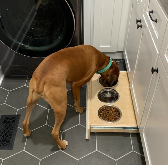 Dog feeding box top