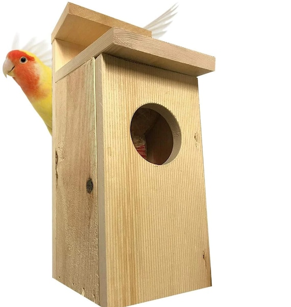 Bird House American Kestrel Nest Box Bird House 24 Hole Etsy