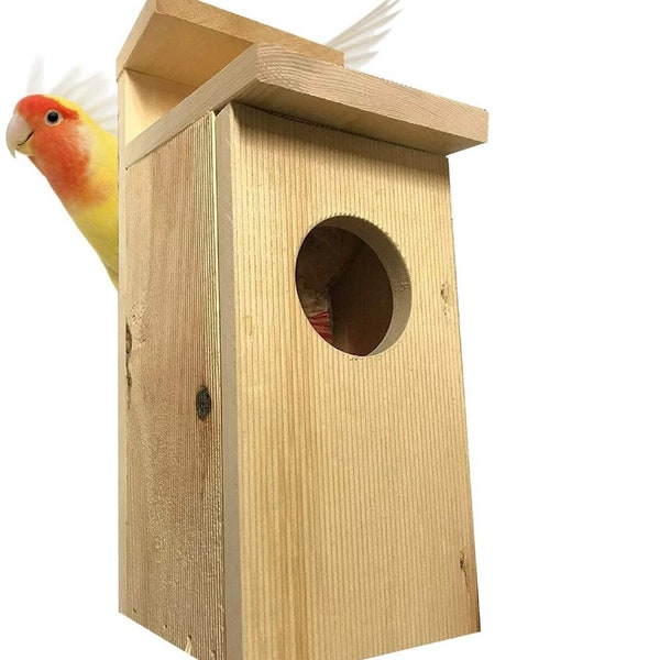 Bird House American Kestrel nest box Bird House 2-4" Hole Solid Unfinished Wood  , Choose Material