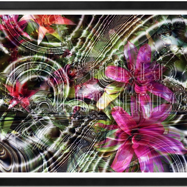 Bromeliad Beauty 001T Downloadable Digital Art