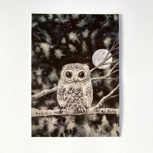 Carte postale, hibou, chevêchette, pleine lune, carte de voeux, hiver, neige, Noël, carte de Noël, noir et blanc, pleine lune, arbre
