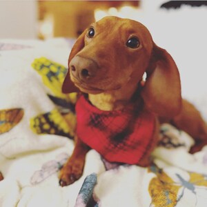 Bandanna - Red Plaid Knit (Scrunchie Sold Separately)