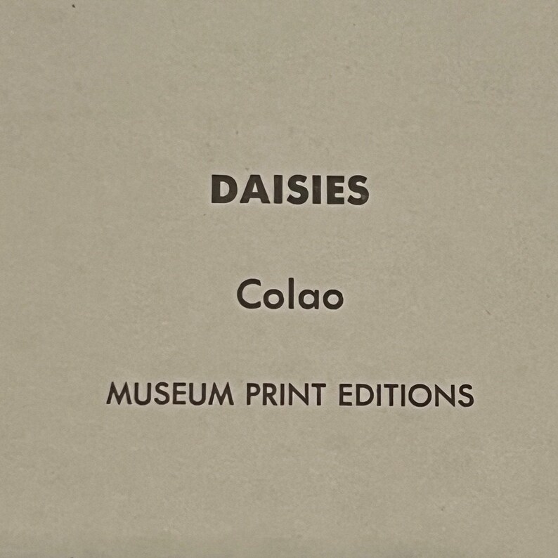 Vintage Lithograph Art Prints Choice Of 3 Museum Print Editions Inc