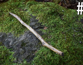 May include: A long, thin, brown wooden stick with a slightly curved shape, lying on a bed of green moss. The stick has a natural, rough texture and appears to be a branch from a tree. The number "#5" is written in black on a yellow background in the upper right corner of the image.