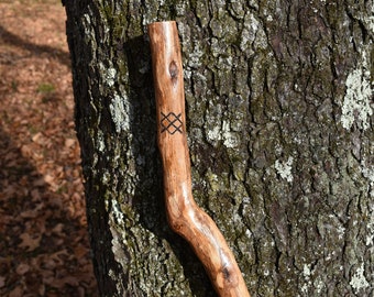 May include: A wooden walking stick with a dark brown finish and a carved design on the handle. The stick is leaning against a tree trunk.