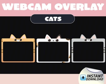 Webcam Overlay - Cats [Pack of 3]