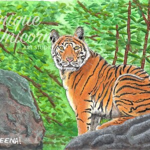 Tiger, Tiger - Framed