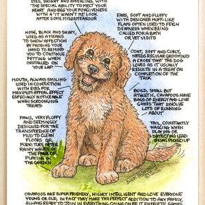 Amantes de los perros ~ 'Conoce a tu perro' ~ Dibujo animado canino ~ El Cavapoo