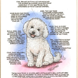 Amantes de los perros ~ 'Conoce a tu perro' ~ Caricatura canina ~ El Bichón Frisé