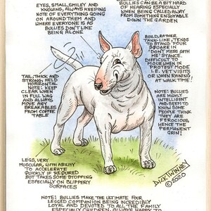 Dog Lovers ~ 'Know your Dog' ~ Canine Cartoon ~ The English Bull Terrier