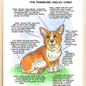 Amantes de los perros ~ 'Conoce a tu perro' ~ Dibujo animado canino ~ El Welsh Corgi