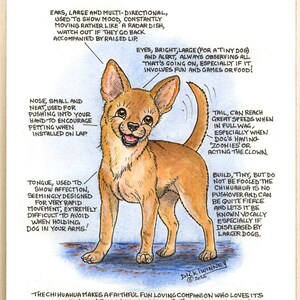 Amantes de los perros ~ 'Conoce a tu perro' ~ Caricatura canina ~ El chihuahua