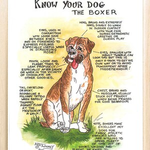 Amateurs de chiens ~ Connaissez votre chien ~ Dessin animé canin ~ Le boxeur