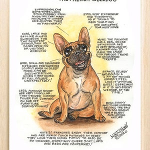 Amantes de los perros ~ 'Conoce a tu perro' ~ Caricatura canina ~ El bulldog francés