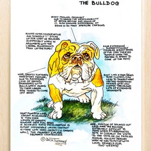 Amantes de los perros ~ 'Conoce a tu perro' ~ Caricatura canina ~ El bulldog