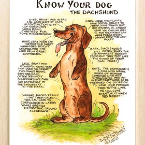 Amantes de los perros ~ 'Conoce a tu perro' ~ Dibujo animado canino ~ El Dachshund